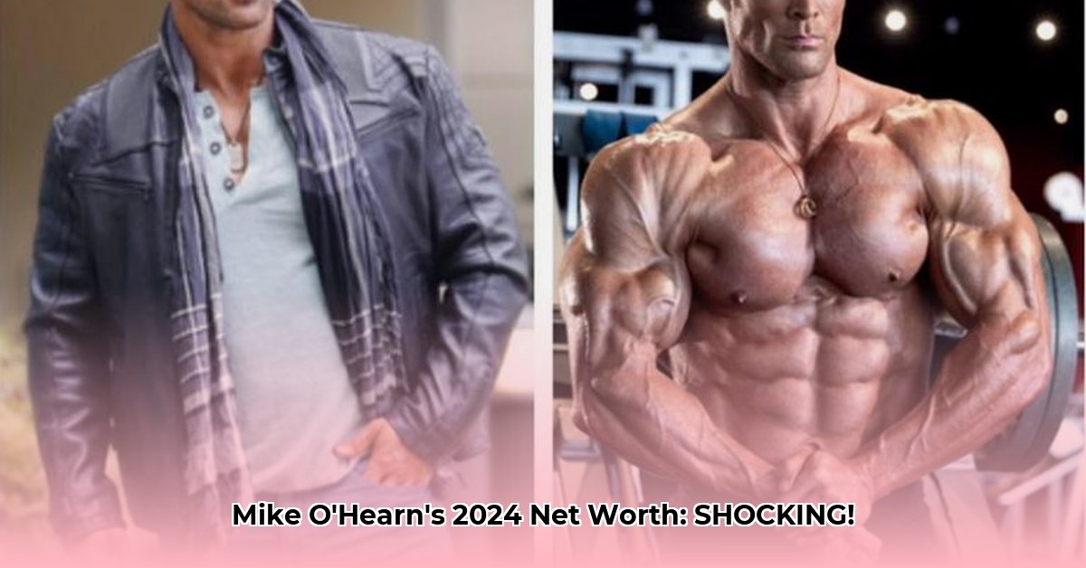 mike-o-hearn-net-worth